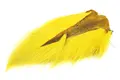 Wapsi Bucktail Medium Yellow