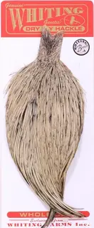 Whiting Dry Fly Cape - Silver Badger Bronsegradering