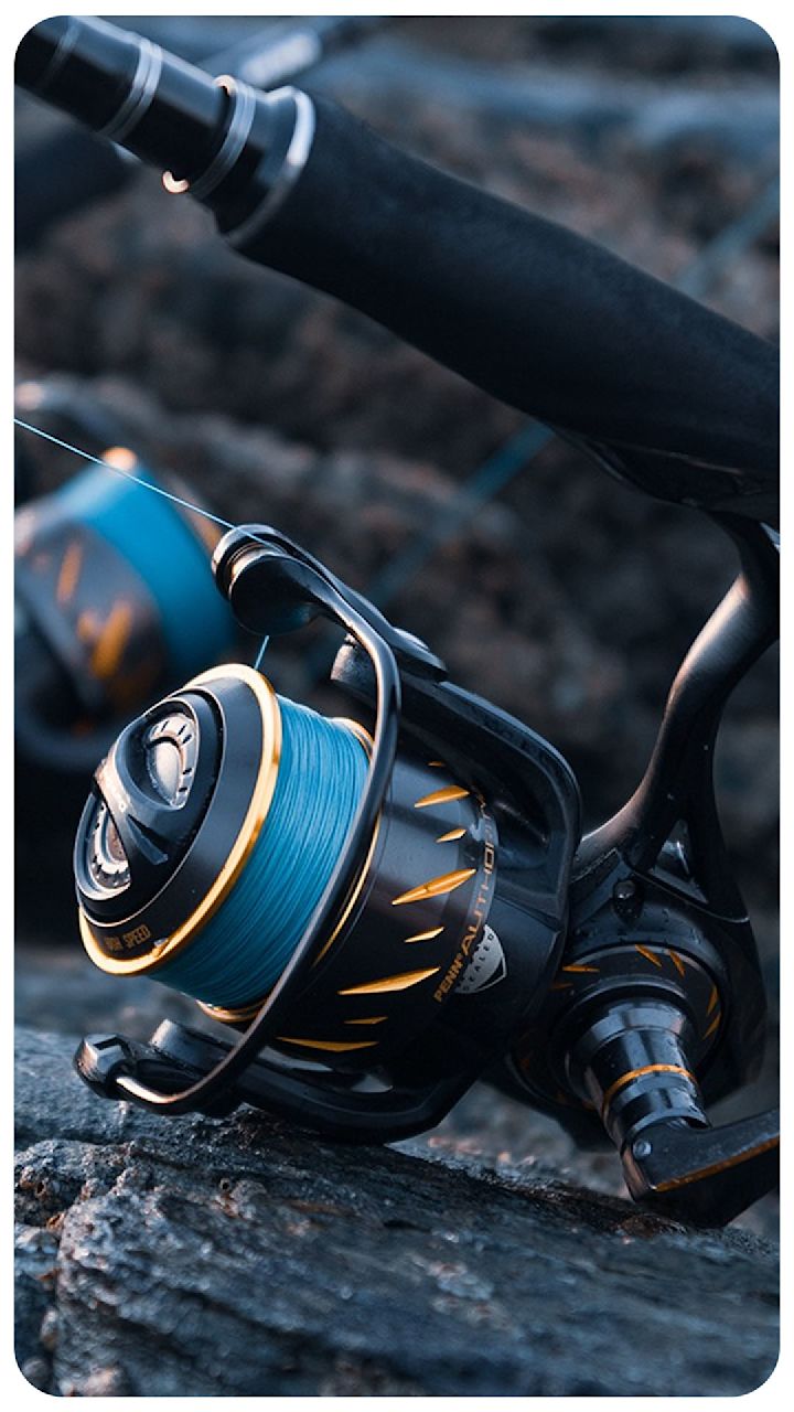 Fiskesneller