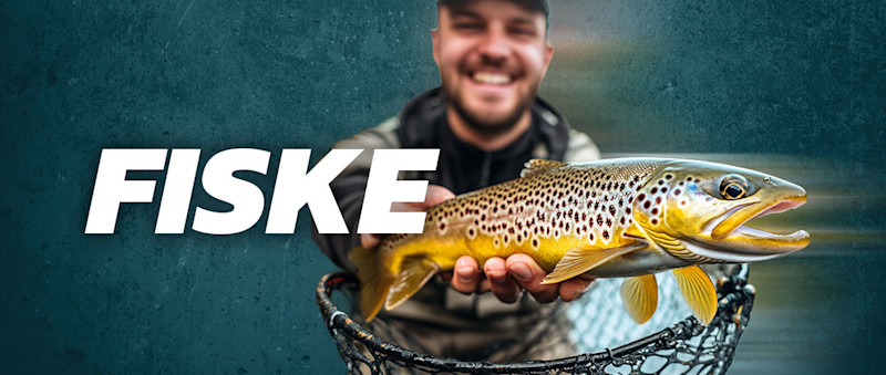 Fiske