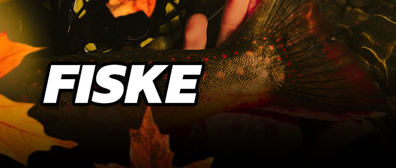 Fiske