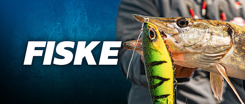 Fiske