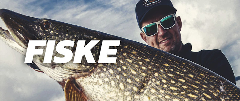 Fiske