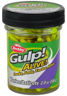 Berkley Gulp Alive "Waxies" maggot Chartreuse