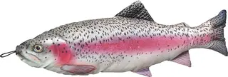 Fladen kosedyr Regnbueørrret 65cm Herlige kosedyr for ekte fiskere