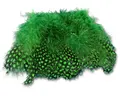 Hareline Strung Guinea Feathers #184 High.Green