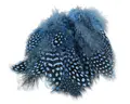 Hareline Strung Guinea Feathers #6 Baby Blue