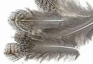 Veniard Partridge French Hackle Natural Mixed size