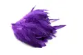 Wapsi Schlappen Short Purple Kvalitetsfjær til fluebinding