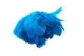 Wapsi Schlappen Short Peacock Blue Kvalitetsfjær til fluebinding