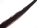 Wapsi Pheseant Rooster Middle Tail Chocolate Brown