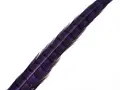 Wapsi Pheseant Rooster Middle Tail Purple