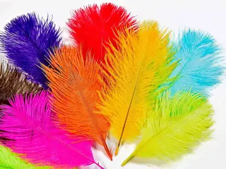 Frödin Ostrich Body Feather Pack 10 farger, 100 fjær