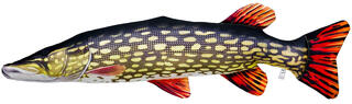 Gaby Pike Giant 110cm Herlige kosedyr for ekte fiskere