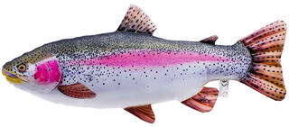 Gaby Rainbow Trout 62cm Herlige kosedyr for ekte fiskere