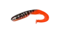 Gator Catfish 35cm HellboyPerch Curlytail med stor profil for stor fisk
