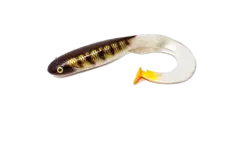 Gator Catfish 35cm NaturalPerch Curlytail med stor profil for stor fisk