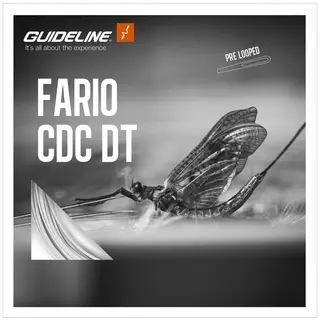 Guideline Fario CDC DT