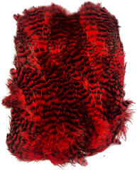 Softhackle patch Grizzly Red