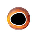Pro Cool Eyes Orange 6 mm