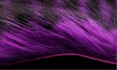 Pro Two Tone Rabbit Hot Purple/Black Barred