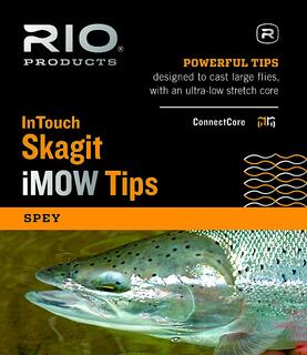 Rio InTouch Skagit iMOW Tips Kit 4stk tips