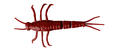 Savage Gear LB 3D PVC Mayfly 5cm Red, 8stk