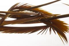Semperfli Natural Range Goose Biots Cinnamon