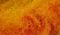 Semperfli Sparkle Dubbing Burnt Orange
