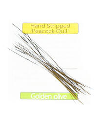 Stripped Peacock Quills - Golden Olive Veniard