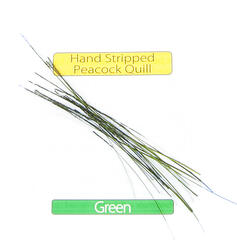 Stripped Peacock Quills - Green Veniard