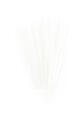 Tail Fibres - White Veniard