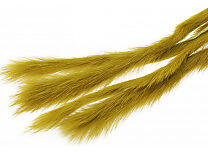 Rabbit Strips S-Cut 3mm. - Golden Olive The Fly Co