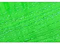 H2O Fish Scale Baitfish Green