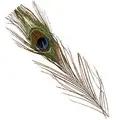 Peacock Eye Tops - Natural