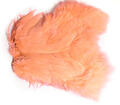 Softhackle patch Shrimp Pink