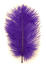 Ostrich Micro Herl - Purple