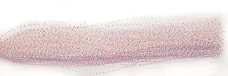 Crystal Mirror Flash - Shrimp Pink