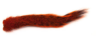 Squirrel Tail - Orange Wapsi