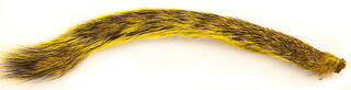 Squirrel Tail - Yellow Wapsi