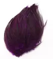 Cockhackles Badger - Purple