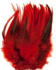 Cockhackles Badger - Red