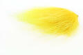 Polar Bear Select - Lemon Yellow The Fly Co.