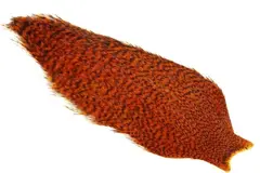 Whiting American Rooster Cape Grizzly/Orange