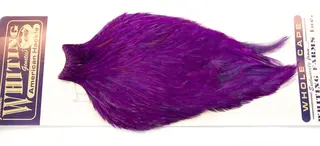 Whiting Am. Rooster Cape - Purple (White Dyed)