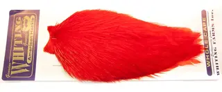 Whiting Am. Rooster Cape - Red (White Dyed)