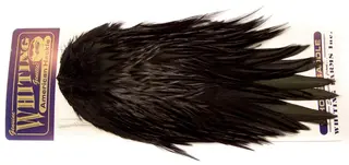 Whiting Am. Rooster Saddle - Black