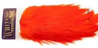 Whiting Am. Rooster Saddle - Orange (White Dyed)