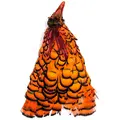 Amherst Pheasant Head No.2 - Dyed Orange Diamantfasan komplett hode