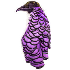 Amherst Pheasant Head No.2 - Dyed Purple Diamantfasan komplett hode